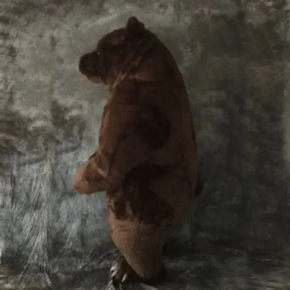 Inflatable Brown Bear Mascot C - đánh giá và giá Halloween Costume Adult