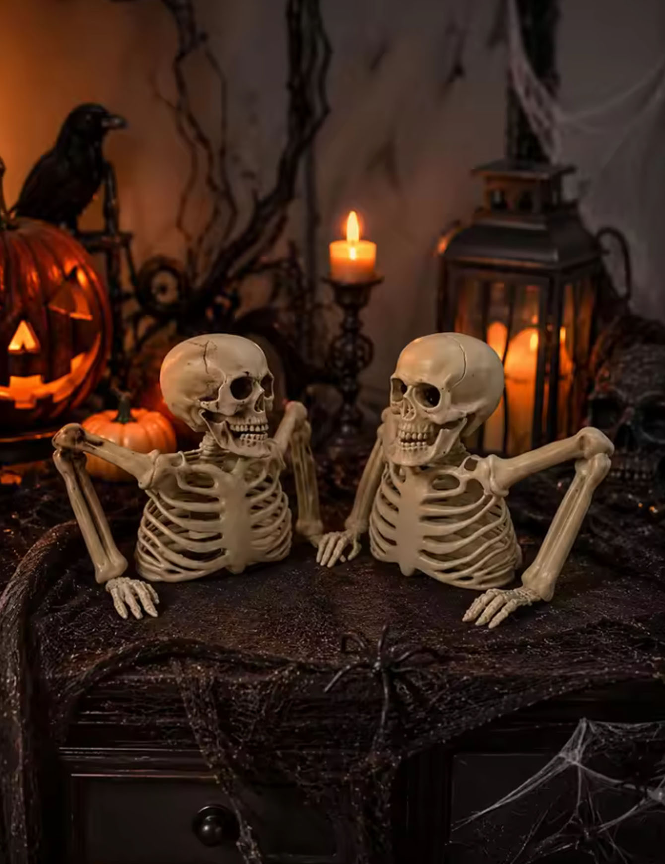 Halloween Half Skeleton Party, - đánh giá và giá Spider Web Halloween Decoration